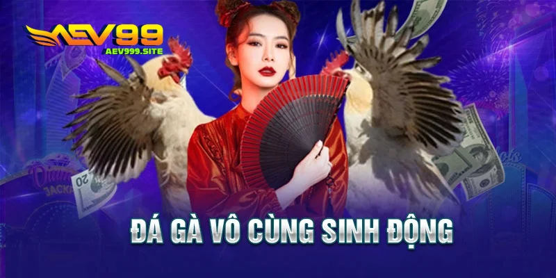 Đá Gà Tại Aev99
