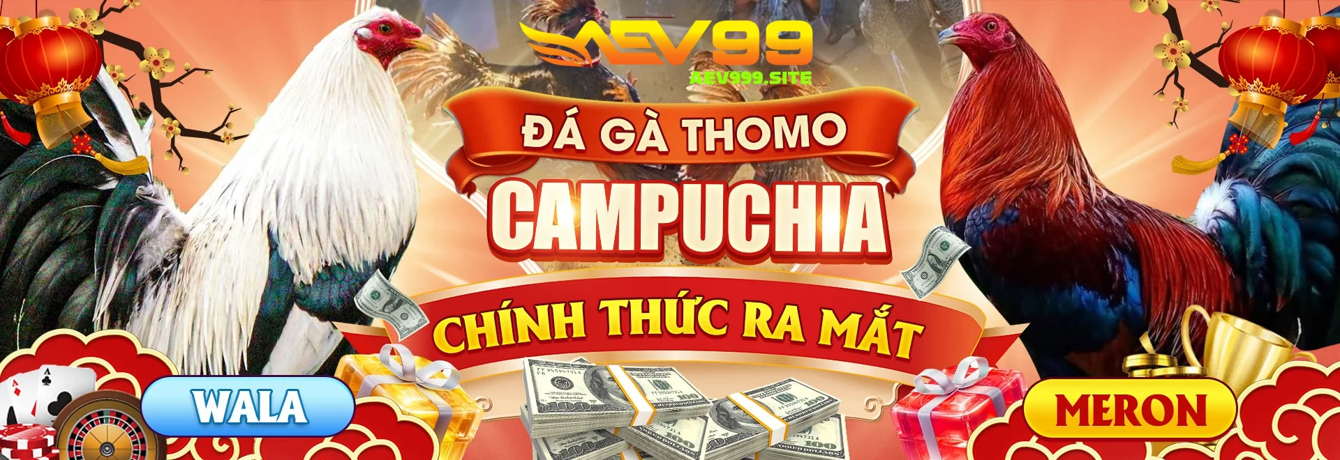 banner aev99 site (1)