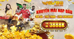 Khuyến Mãi Nạp Đầu Đá Gà Thể Thao Live Casino