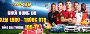 Cá Cược Euro Tại Aev99